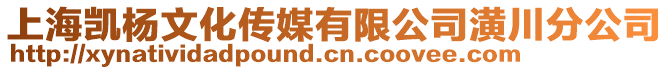 上海凱楊文化傳媒有限公司潢川分公司