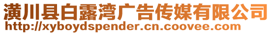 潢川縣白露灣廣告?zhèn)髅接邢薰? style=