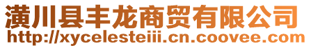 潢川縣豐龍商貿有限公司