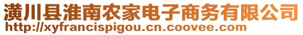 潢川縣淮南農(nóng)家電子商務(wù)有限公司