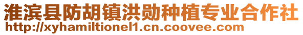 淮滨县防胡镇洪勋种植专业合作社