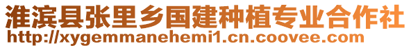 淮濱縣張里鄉(xiāng)國(guó)建種植專業(yè)合作社