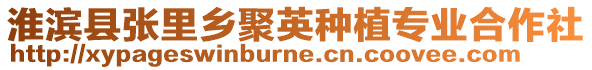 淮濱縣張里鄉(xiāng)聚英種植專業(yè)合作社