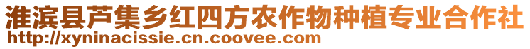 淮濱縣蘆集鄉(xiāng)紅四方農(nóng)作物種植專業(yè)合作社