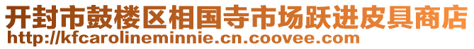 開封市鼓樓區(qū)相國寺市場躍進皮具商店