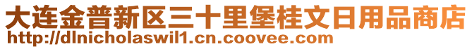 大連金普新區(qū)三十里堡桂文日用品商店