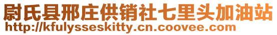 尉氏縣邢莊供銷社七里頭加油站