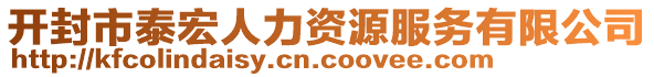 開封市泰宏人力資源服務(wù)有限公司