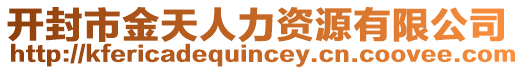 開封市金天人力資源有限公司