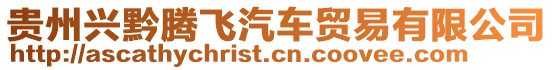 貴州興黔騰飛汽車貿(mào)易有限公司