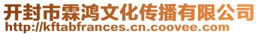 开封市霖鸿文化传播有限公司