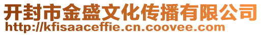 開封市金盛文化傳播有限公司