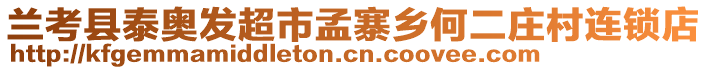 兰考县泰奥发超市孟寨乡何二庄村连锁店