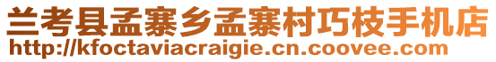 蘭考縣孟寨鄉(xiāng)孟寨村巧枝手機(jī)店