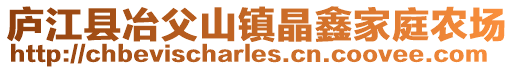 庐江县冶父山镇晶鑫家庭农场