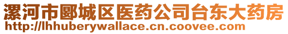 漯河市郾城區(qū)醫(yī)藥公司臺東大藥房