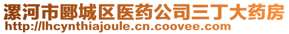 漯河市郾城區(qū)醫(yī)藥公司三丁大藥房