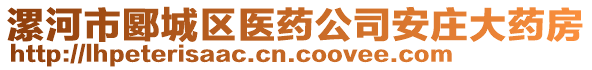 漯河市郾城区医药公司安庄大药房