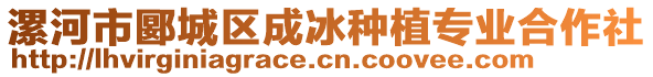 漯河市郾城區(qū)成冰種植專業(yè)合作社