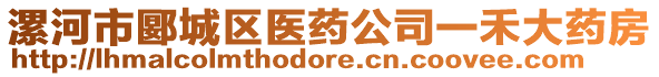 漯河市郾城区医药公司一禾大药房