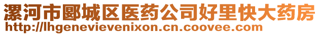 漯河市郾城区医药公司好里快大药房