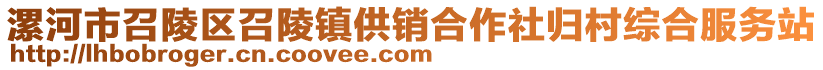 漯河市召陵区召陵镇供销合作社归村综合服务站