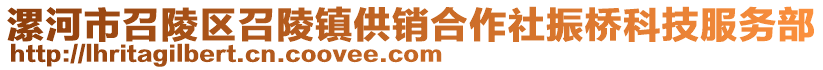 漯河市召陵区召陵镇供销合作社振桥科技服务部