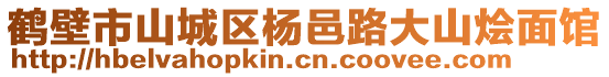 鶴壁市山城區(qū)楊邑路大山燴面館