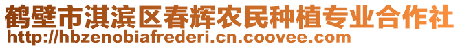 鶴壁市淇濱區(qū)春輝農(nóng)民種植專業(yè)合作社