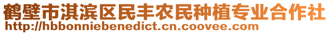 鶴壁市淇濱區(qū)民豐農(nóng)民種植專(zhuān)業(yè)合作社