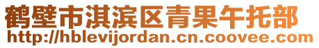 鹤壁市淇滨区青果午托部