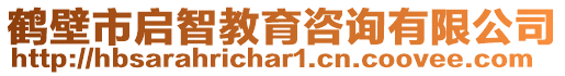 鶴壁市啟智教育咨詢有限公司