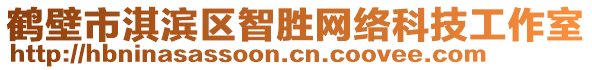 鶴壁市淇濱區(qū)智勝網(wǎng)絡(luò)科技工作室