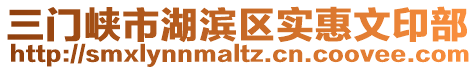 三門峽市湖濱區(qū)實(shí)惠文印部