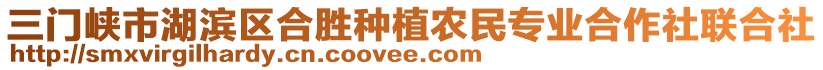 三門峽市湖濱區(qū)合勝種植農(nóng)民專業(yè)合作社聯(lián)合社