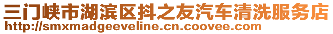 三門峽市湖濱區(qū)抖之友汽車清洗服務店