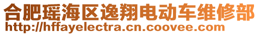 合肥瑤海區(qū)逸翔電動車維修部