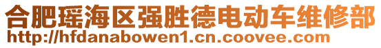 合肥瑤海區(qū)強(qiáng)勝德電動(dòng)車維修部