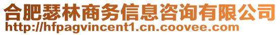 合肥瑟林商務(wù)信息咨詢有限公司