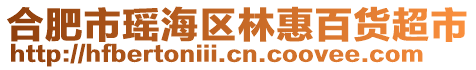 合肥市瑤海區(qū)林惠百貨超市