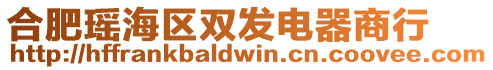 合肥瑤海區雙發電器商行