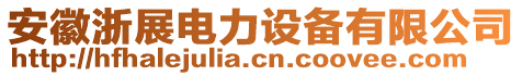 安徽浙展電力設備有限公司