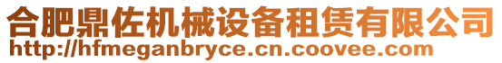 合肥鼎佐機械設備租賃有限公司