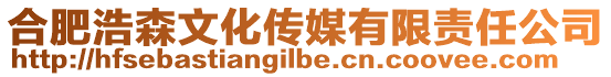 合肥浩森文化傳媒有限責(zé)任公司