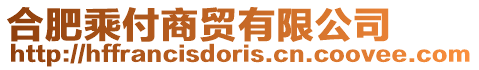 合肥乘付商貿(mào)有限公司