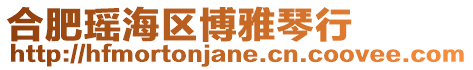 合肥瑤海區博雅琴行