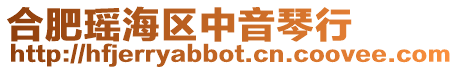 合肥瑤海區(qū)中音琴行
