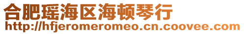 合肥瑤海區海頓琴行