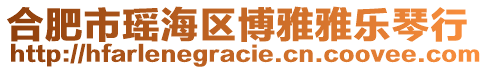 合肥市瑤海區博雅雅樂琴行