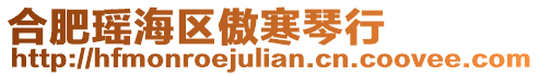 合肥瑤海區(qū)傲寒琴行